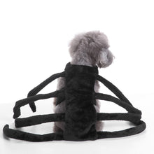 Load image into Gallery viewer, Pet Dogs Clothes Halloween Funny Spider Transfiguration Dog Cats Coats Dogs Jackets Sets Size S-L